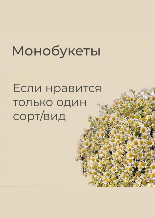 Подписка «Моно»