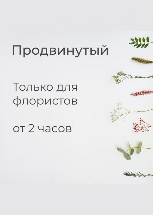 Мастер-класс «Продвинутый»